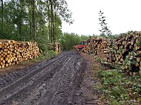 Lekker modderig