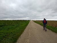 Bovenop het plateau