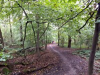 Afdalen door het Biebos naar Valkenburg