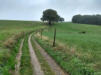Mooie en stille weg op plateau bij Scheulpen