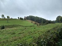 Gerendal