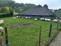 Schaapskooi in Gerendal