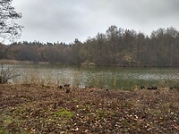 Ven in natuurgebied Emergo