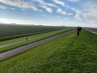 Waddenzeedijk
