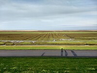 buitendijks land
