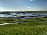 vogelreservaat