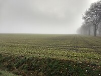 een mistig Zuideres