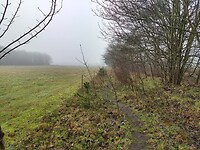 Langs het Hunzebos