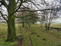Oosterveldweg