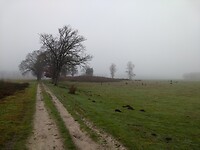 tussen de Velden bij Odoorn
