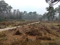 Odoornerdennen