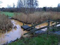 Buitenhof