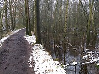 winterse wandeling bij Anloo