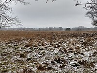 winters veld Anloo