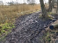 glibberen bij Friescheveen