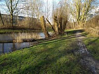even onverhard bij Lewenborg