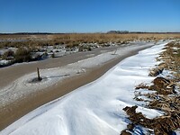 mooi winters landschap