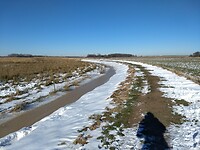 genieten van een winters Onlanden