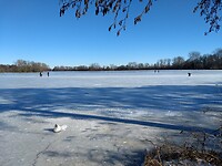 schaatsers op het Friescheveen