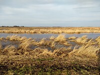 Lente in de Onlanden