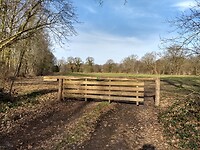 zo mooi Drents