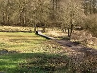 mooi wandelpad, kruist het diepje