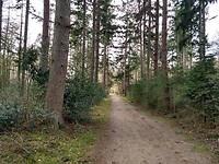 landgoed Vosbergen