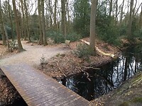 landgoed De Duinen
