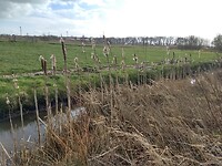 Natuur vlakbij de stad
