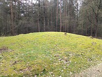 grafheuvel, Evertsbos