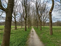 op weg naar Ennemaborgh