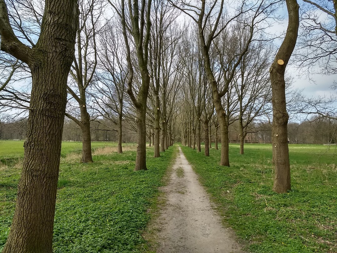 op weg naar Ennemaborgh