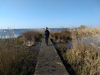 naar vogelobservatie Eelderdiep