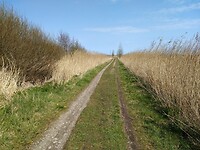oude Onlandse dijk