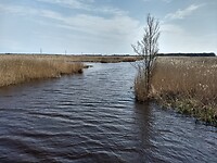 Matsloot 1