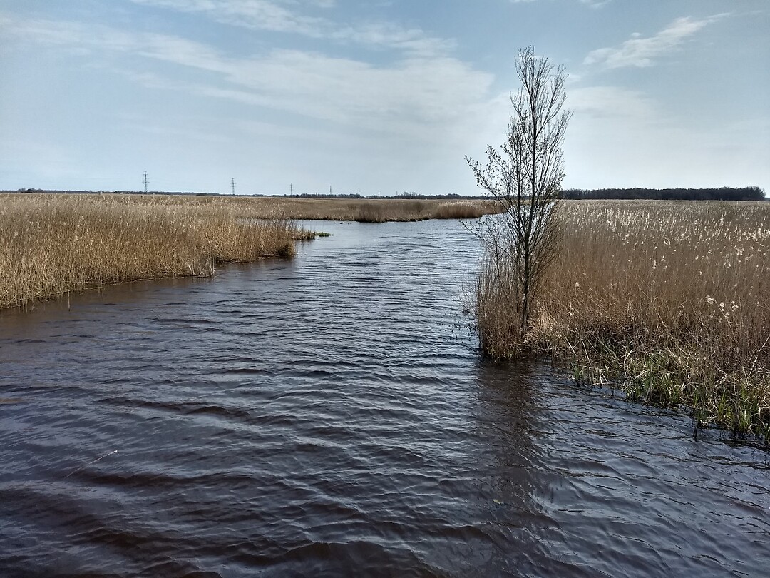 Matsloot 1