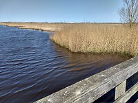 Matsloot 2