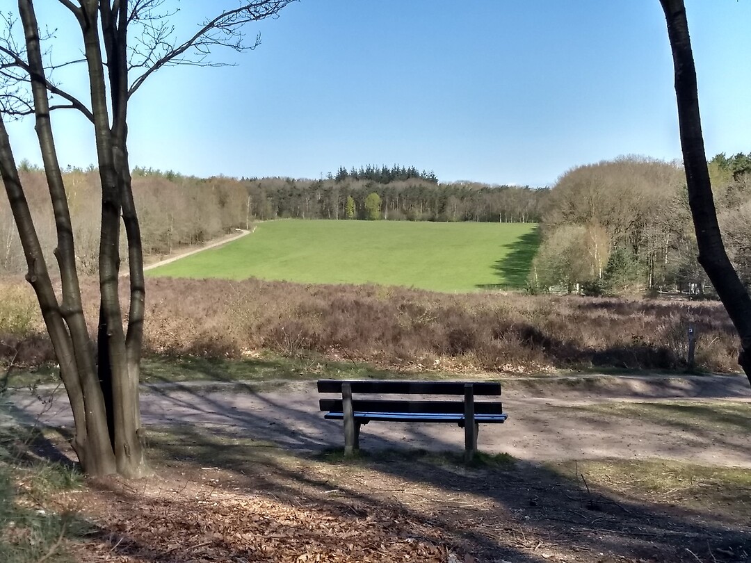 uitzicht vanaf de Scheeleberg