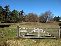 gewoon mooi