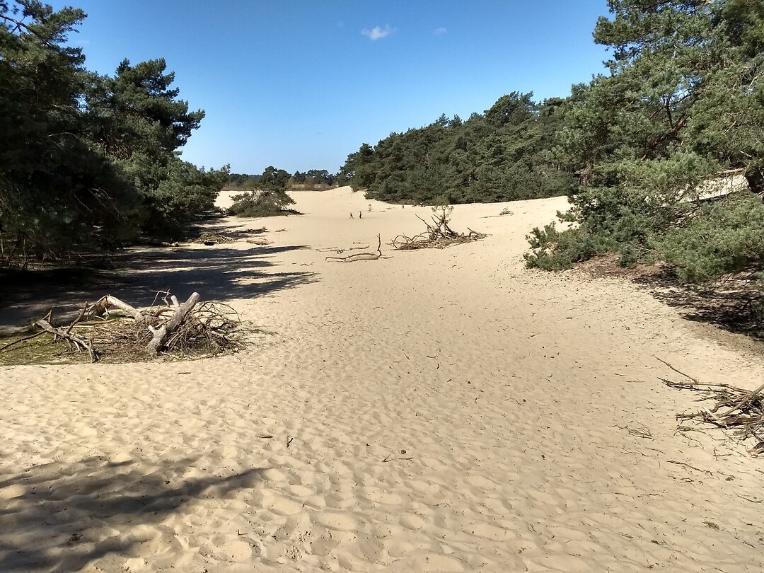 stuifzand