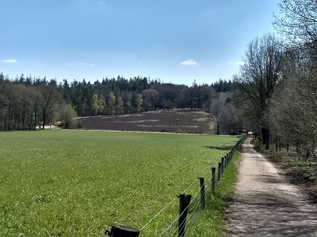 en weer terug naar de Scheeleberg