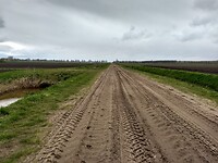 5 km zandpad polder Borgercompagnie