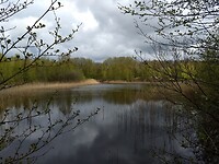 Heemtuin "tussen de Venen'" 1