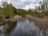 Heemtuin "tussen de Venen'" 2