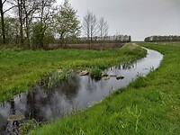 Voorde in de Masloot