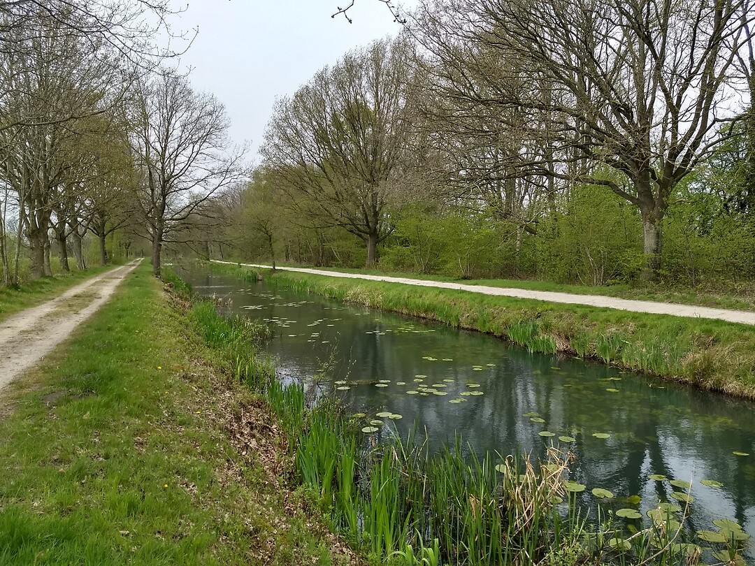 Zeijerwiek