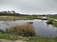 Veldakkersveentje