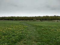 graspad bij Zeijen