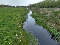de Broekenloop
