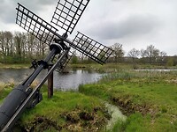 Tjasker 2